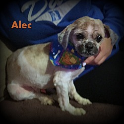 Thumbnail photo of Alec #2