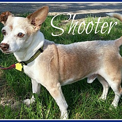 Thumbnail photo of Shooter #1