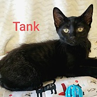 Photo of Tank