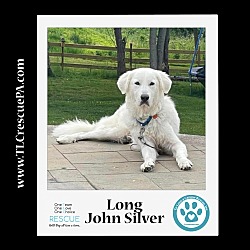 Photo of Long John Silver 051323