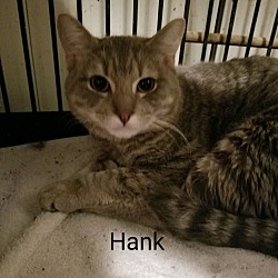 Photo of Hank