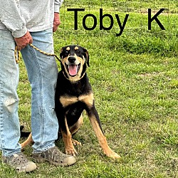 Thumbnail photo of Toby K #2
