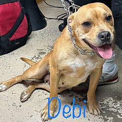 Thumbnail photo of Debi #3