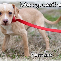 Thumbnail photo of Merryweather (POM) #2