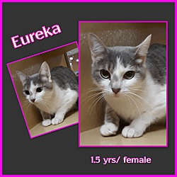 Photo of Eureka
