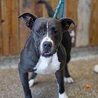 Junction City Animal Shelter in Junction City, Kansas