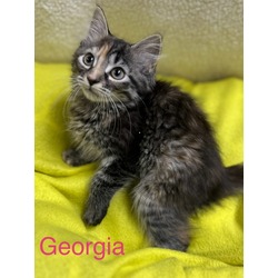 Photo of Georgia