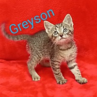 Photo of Greyson