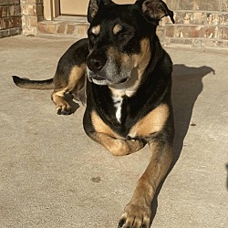 Photo of Maximus