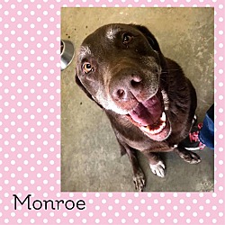 Thumbnail photo of MONROE #1