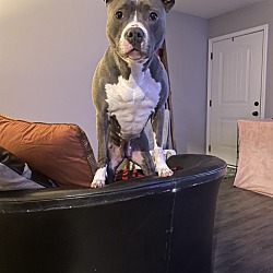 Photo of Princess