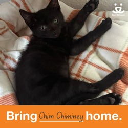 Thumbnail photo of Chim Chiminey #2