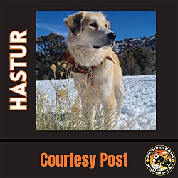 Photo of HASTUR