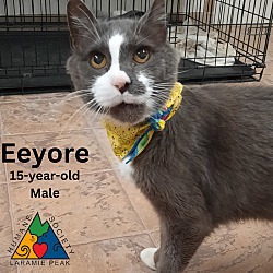 Thumbnail photo of Eeyore #1