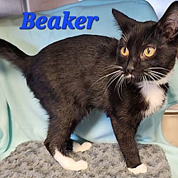 Thumbnail photo of Beaker #3