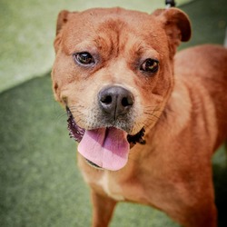 Thumbnail photo of WHITNEY-A2153756 #3