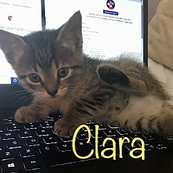 Photo of Clara