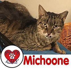 Photo of Michoone