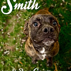 Thumbnail photo of Smith #1