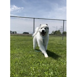 Thumbnail photo of Bumble #3