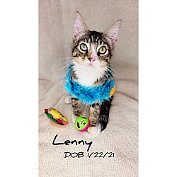 Photo of Lenny