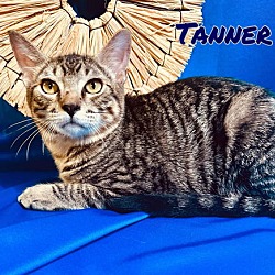 Thumbnail photo of Tanner #2