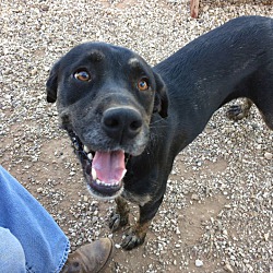 post animal refuge center