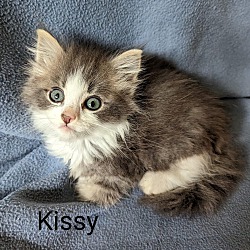 Photo of Kissy