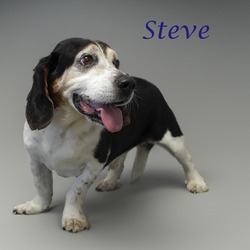 Thumbnail photo of Steve (D22-125) #4