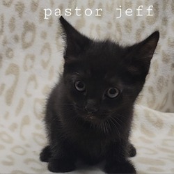 Thumbnail photo of Pastor Jeff #1