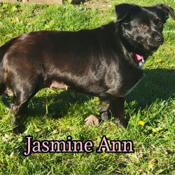 Thumbnail photo of Jasmine Ann #1