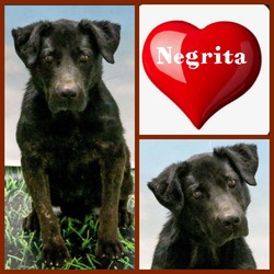 Photo of Negrita
