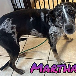 Thumbnail photo of MARTHA #2