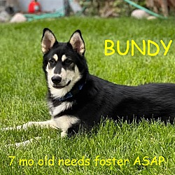 Thumbnail photo of BUNDY #1