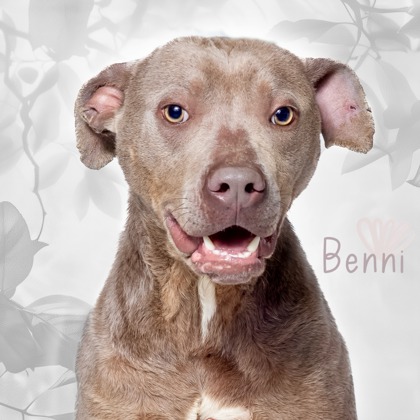 Thumbnail photo of Benni - #2