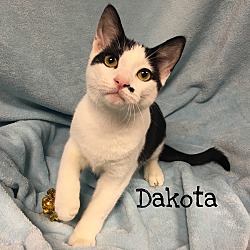 Thumbnail photo of Dakota #1