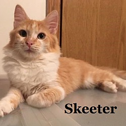 Photo of Skeeter