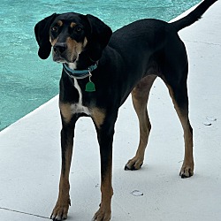 Photo of Roxy