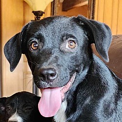 Photo of Cooper