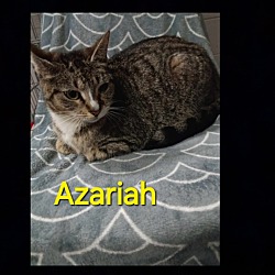 Photo of Azariah