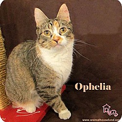 Thumbnail photo of Ophelia #1