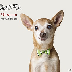 Photo of Newman