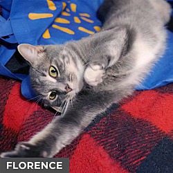 Thumbnail photo of Florence #4