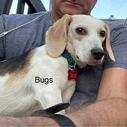 Thumbnail photo of Bugs Talbot #2