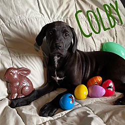 Photo of Colby