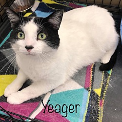 Photo of Yeager