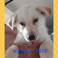 Photo of Winslow