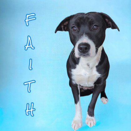 Thumbnail photo of Faith #2