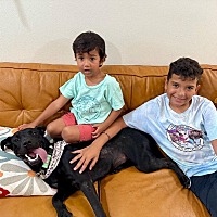 adopt a pet