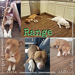 Thumbnail photo of Range #3